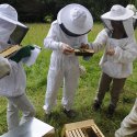 En Savoie : cours d'initiation à l'apiculture bio dans les Bauges