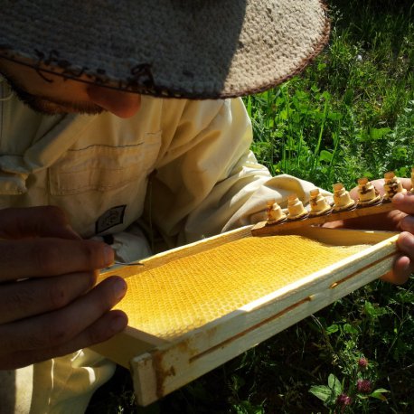 Cours d'élevage en apiculture © Stéphane D. Schulp