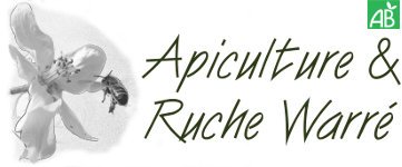 Apiculture et Ruche Warre